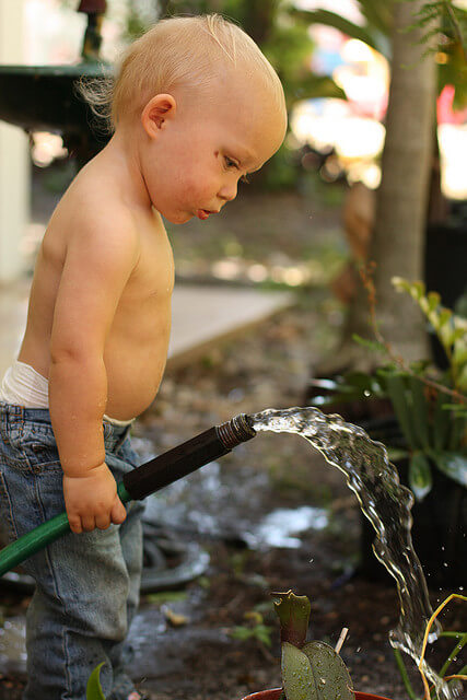 beginner's mind - curious toddler