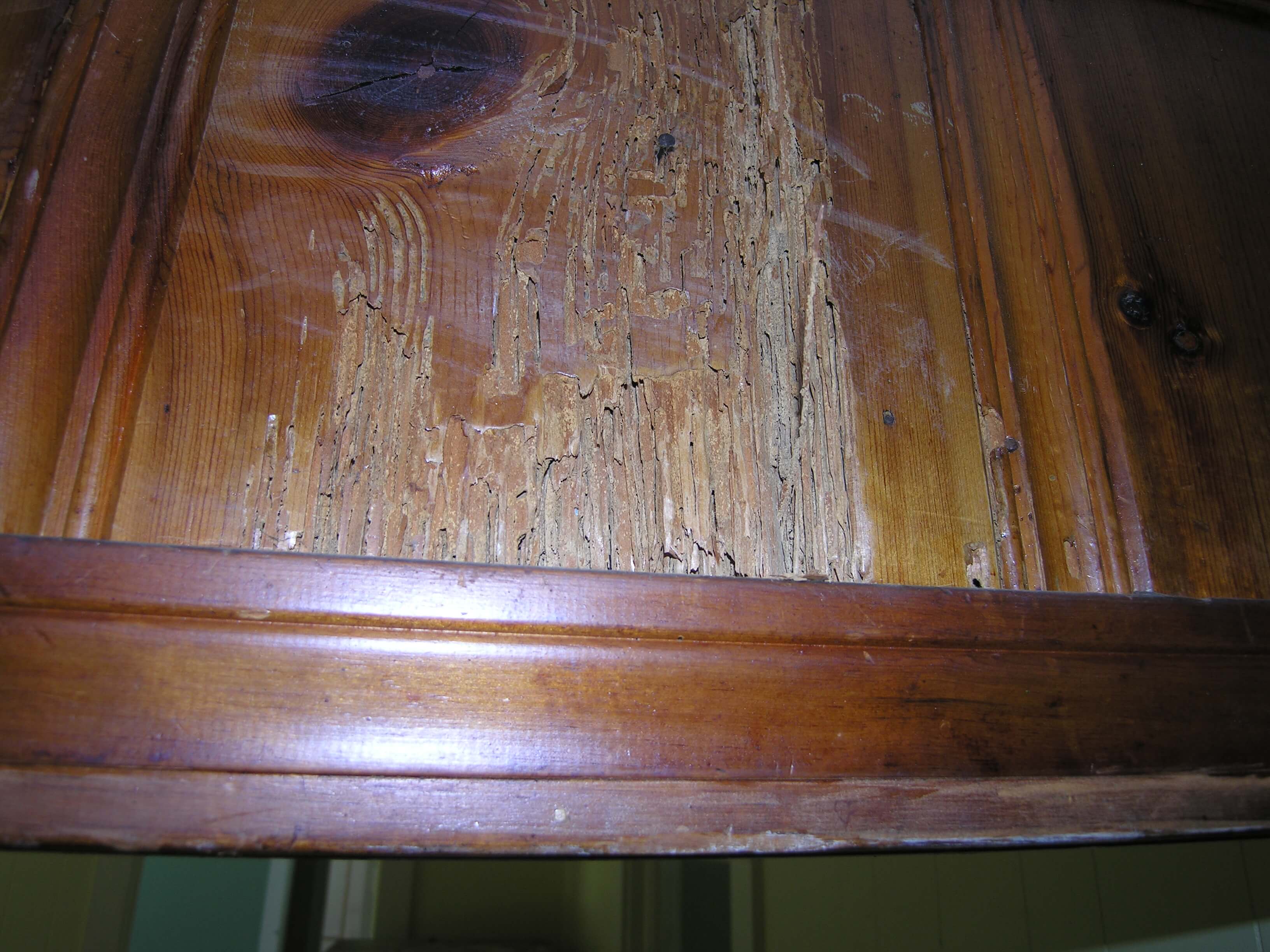 rent house appreciation - before - termite damage