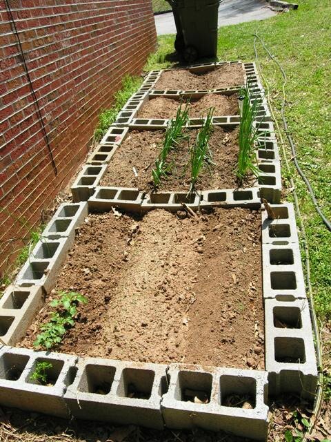 House hacking fourplex - after - community garden