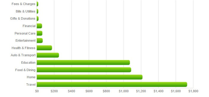 January spending graph