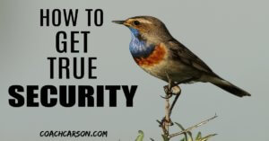 How to Get True Security - Bird on a Branch