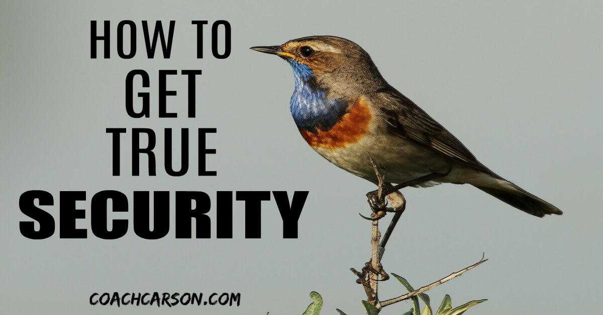 How to Get True Security - Bird on a Branch