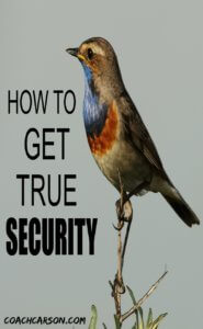 How to Get True Security - Bird on a Branch