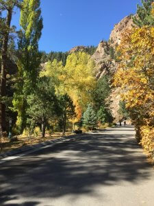 hiking view of trees - From Corporate Career to Financial Independence in His 50s