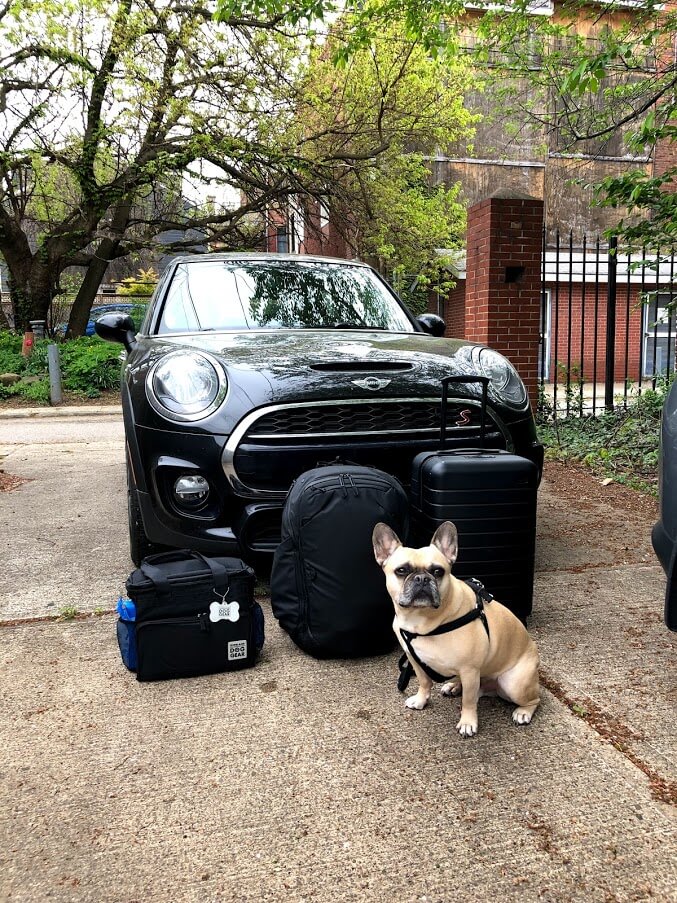 Minimilist road trip with his side kick